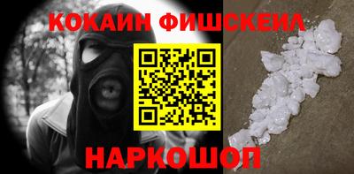 крисы Кулебаки
