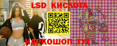 крисы Кулебаки
