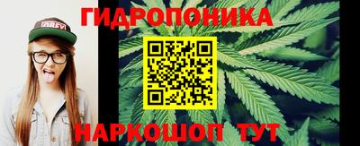 крисы Кулебаки