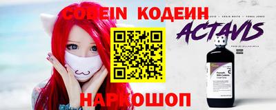 крисы Кулебаки