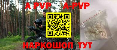 крисы Кулебаки