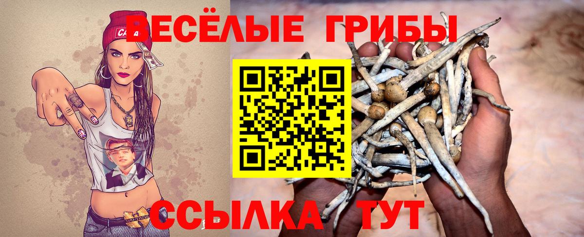 Галлюциногенные грибы Cubensis  Вход с VPN  Галлюциногенные грибы Psilocybine cubensis  Зерноград 